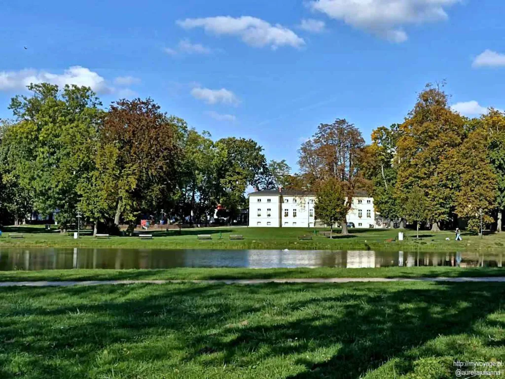 Staw w Parku miejskim w Grodzisku