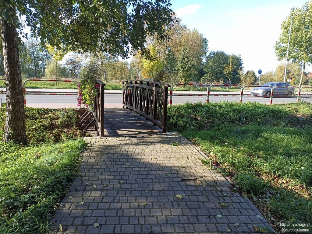 Park miejski w Grodzisku Wlkp.