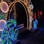 Lumina Park Poznań – Alicja w Ogrodzie Czarów