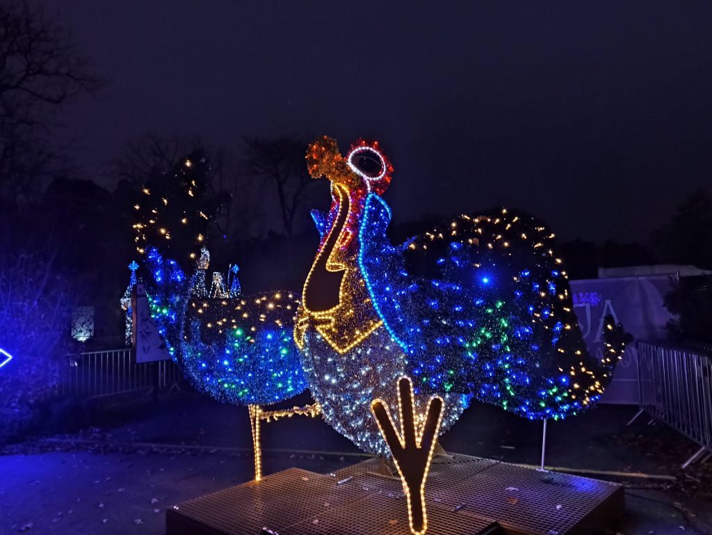 Lumina Park Poznań - Alicja w Ogrodzie Czarów