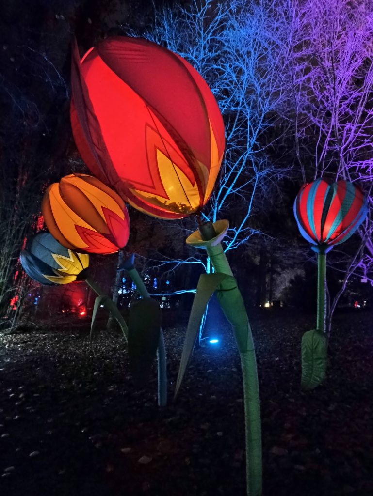 Lumina Park Poznań - Alicja w Ogrodzie Czarów