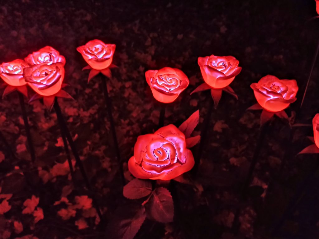 Lumina Park Poznań - Alicja w Ogrodzie Czarów