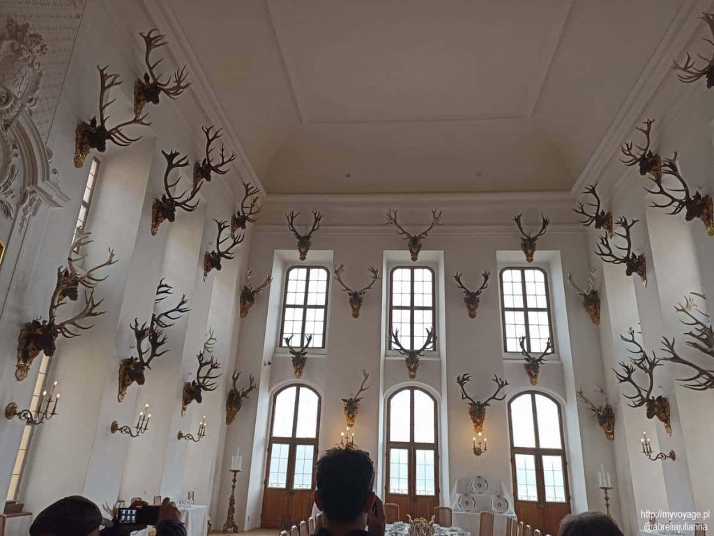 Poroża na terenie zamku