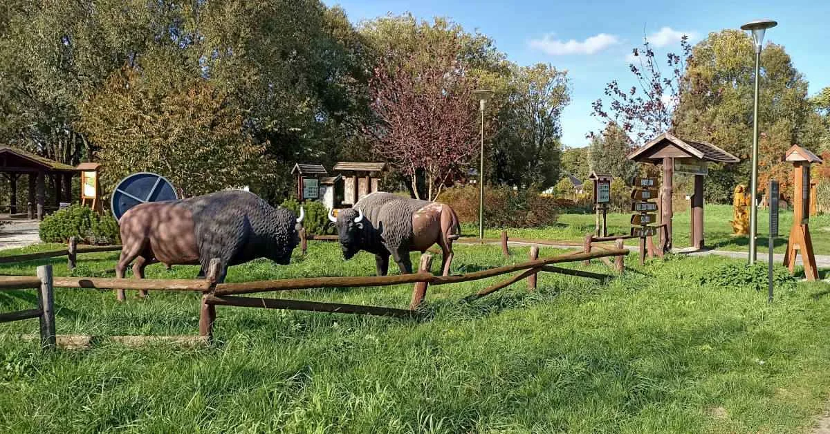 Park miejski w Grodzisku Wielkopolskim