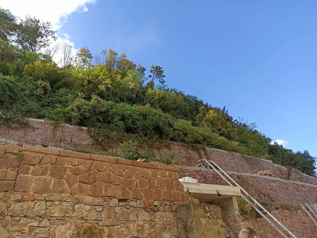 winnica położona w mieście