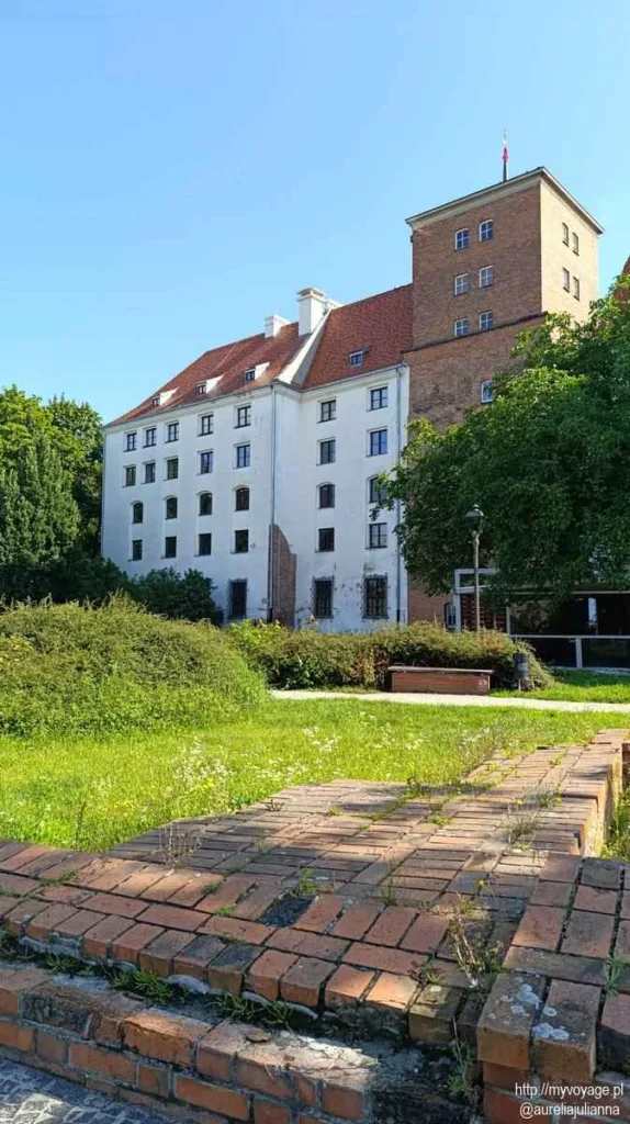 Zamek w Brzegu od zachodu