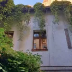 podwórze na ul. zielona 1 w Poznaniu