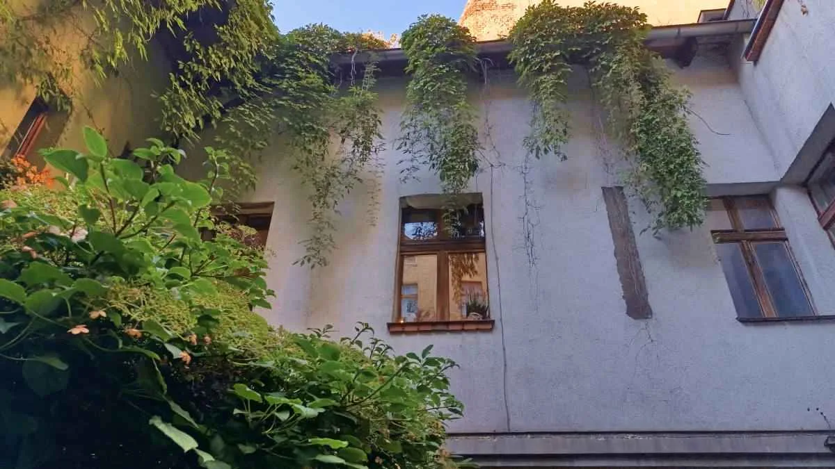 Ciekawe podwórze przy ul. Zielonej w Poznaniu