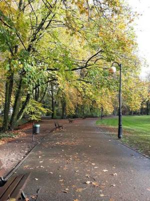 Park Sołacki jesieniom Poznań