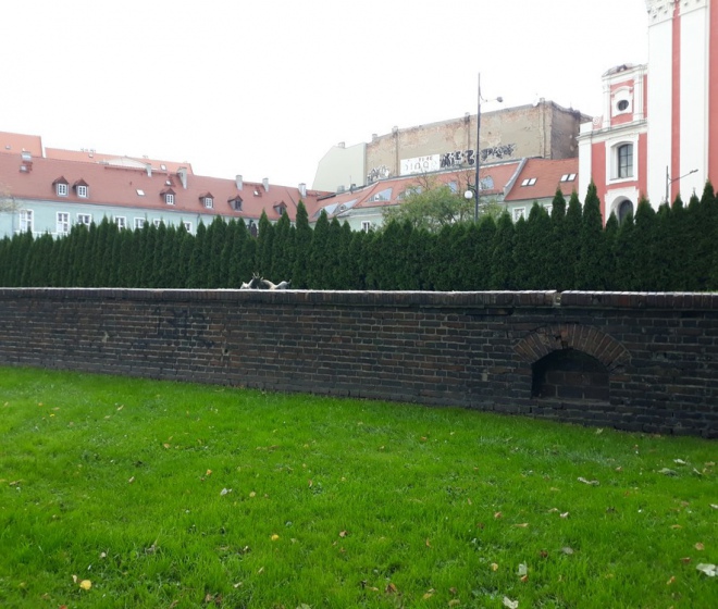Dawne mury miejskie Poznań