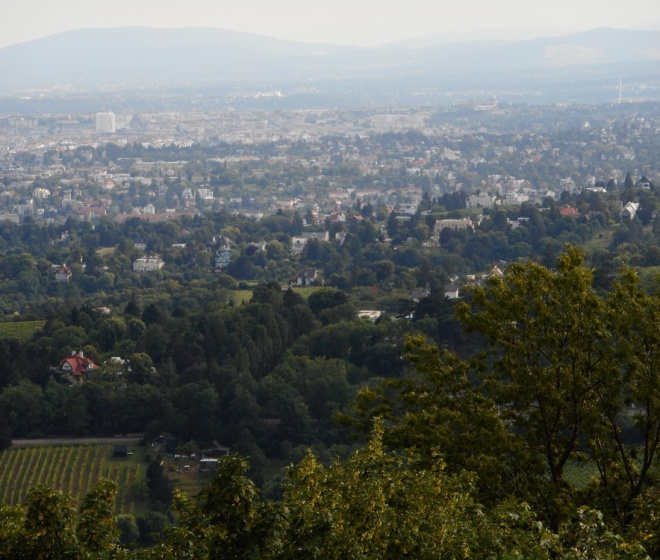 Kahlenberg - Panorama Wiednia