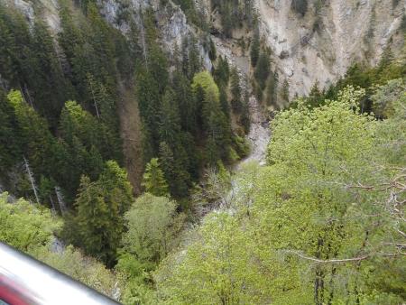 Widok na góry i las otaczające Neuschwanstein